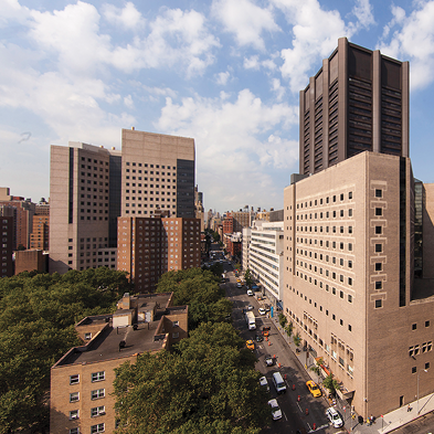 The Icahn School of Medicine at  Mount Sinai