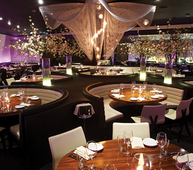 STK London main dining room