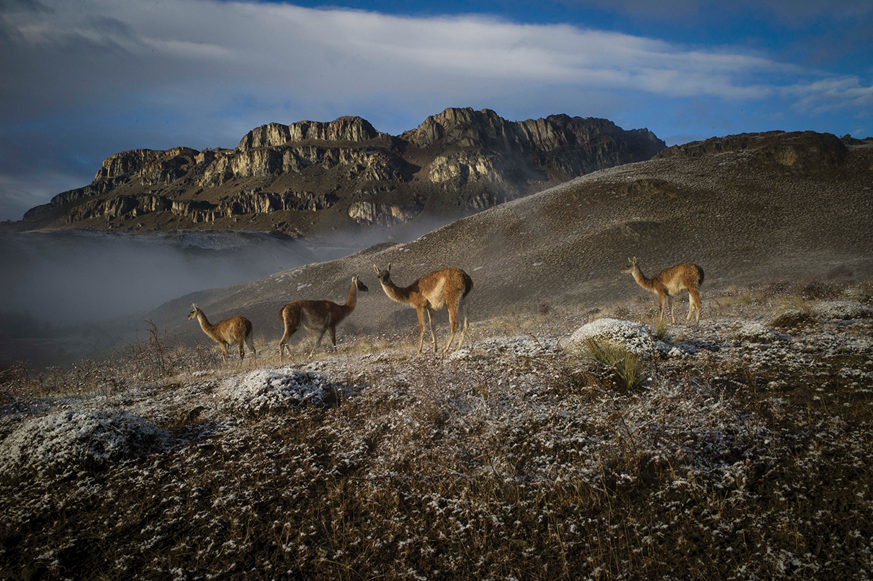 Tompkins Conservation - Patagonia National Park