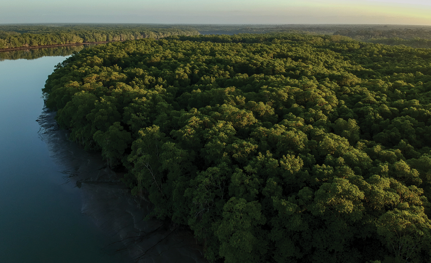 Conservation International - Projeto Pesca Mais Sustentável