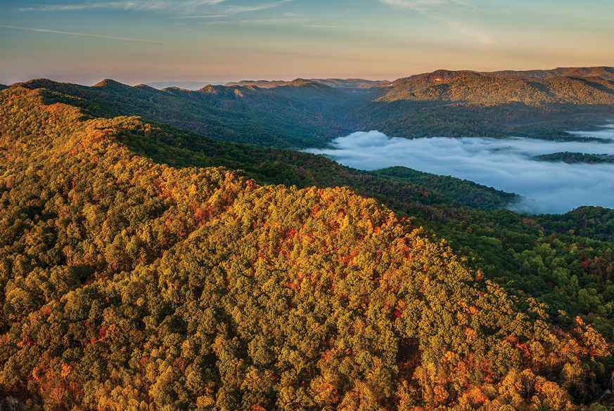 Virginia Cumberland Forest, The Nature Conservancy TNC