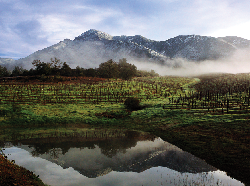 Barbara Banke, Trace Ridge vineyard in Knights Valley in Sonoma County, a Jackson Family Wines’ property