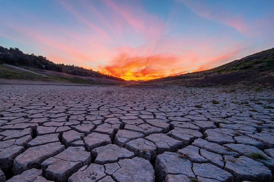 The Nature Conservancy-TNC