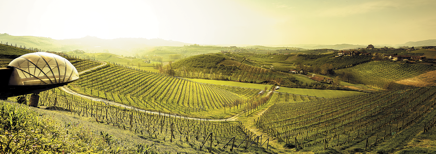 “The Grape” at Tenuta Monsordo Bernardina, Ceretto’s headquarters in Alba, Italy