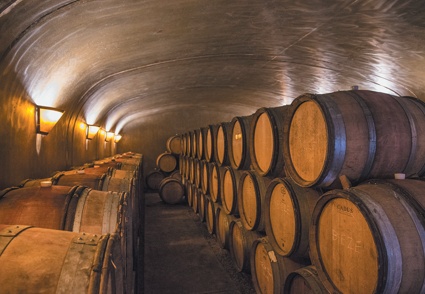 Appassionata Estate barrel room