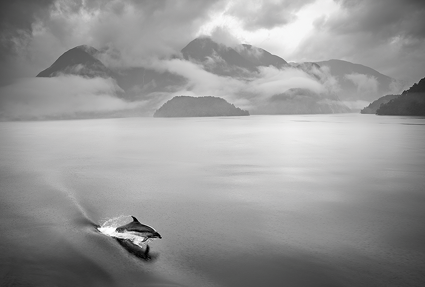 Andy Katz, The Mountain Lake in Fog, New Zealand