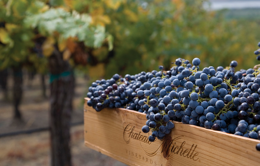Chateau Ste. Michelle