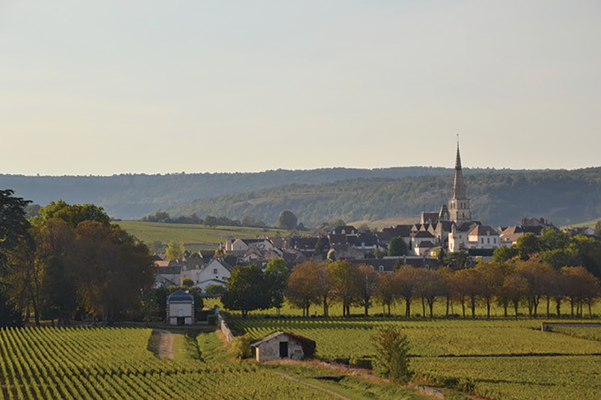 Domaine Pierre Girardin