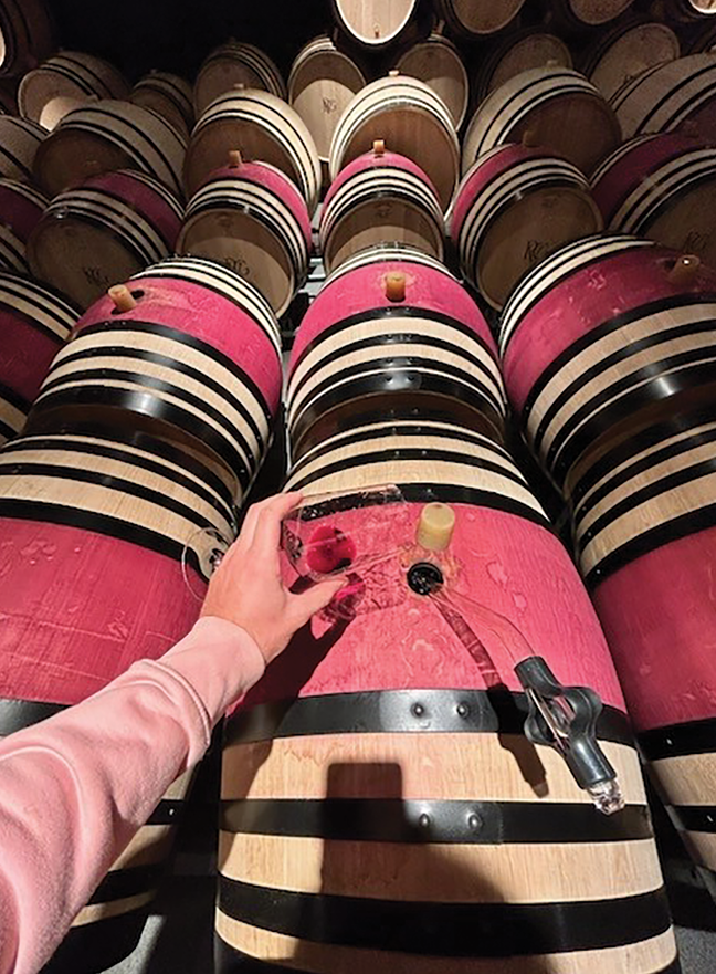 Domaine Pierre Girardin