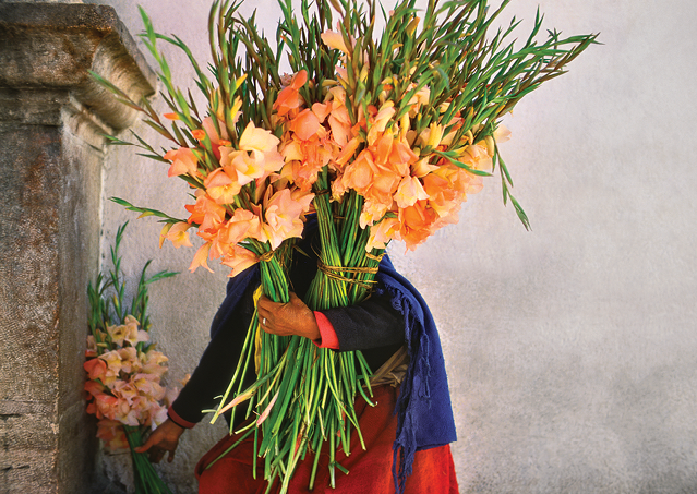 Andy Katz, Cuenca Flower Market, Ecuador