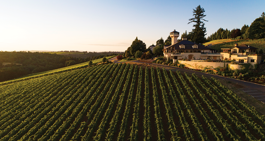 Willamette Valley Vineyards