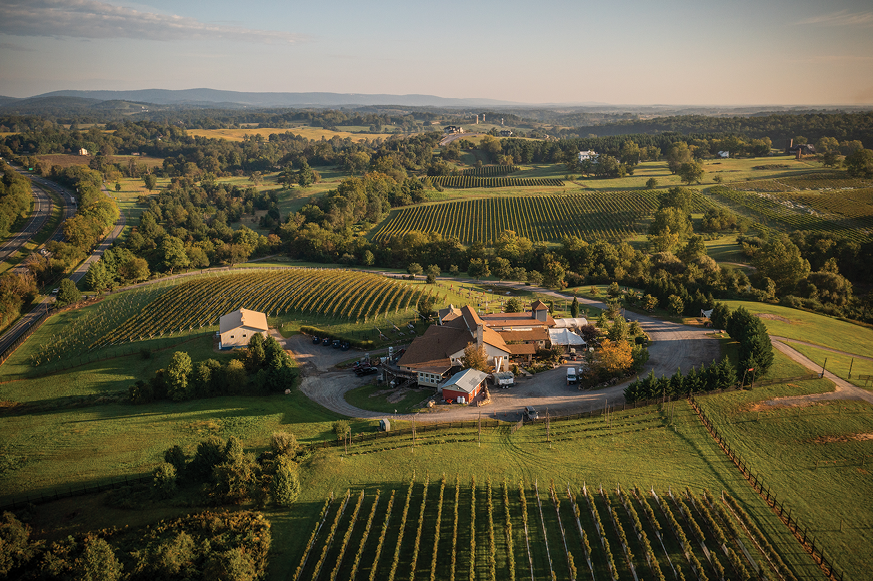 Barrel Oak Winery & Brewery in Virginia