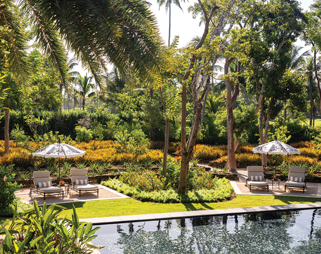 Dorado Beach Pineapple Garden