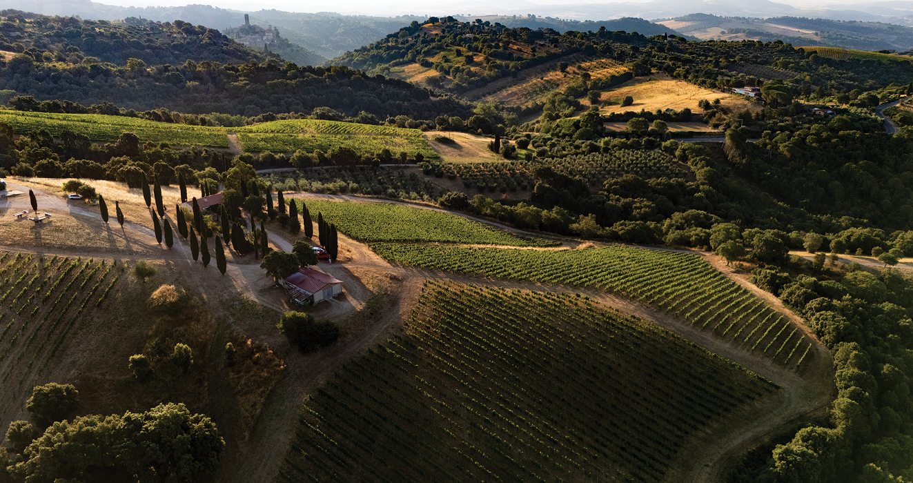 Fattoria Le Pupille Winery in Tuscany, Italy