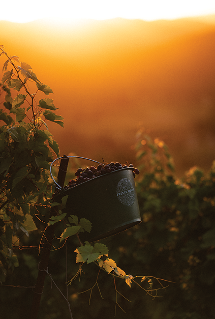 French Bloom vineyards and alcohol-free wines